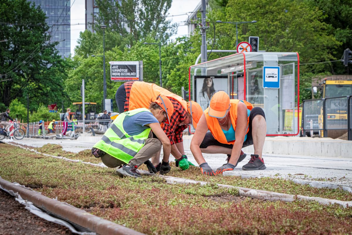 Infotram - Warszawa: Koniec remontu to początek remontu. O wiele bardziej dotkliwego dla pasażerów tramwajów