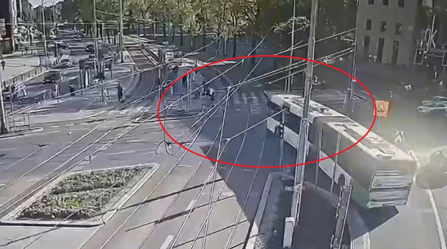 Infobus - Szczecin: Kierowca autobusu z dozorem policyjnym po zdarzeniu na przejściu dla pieszych