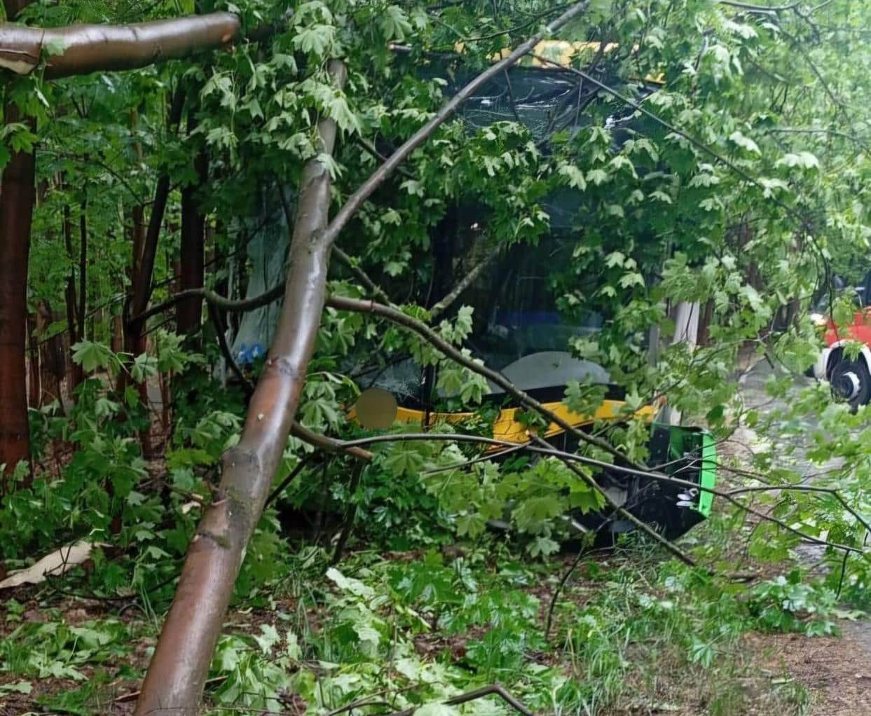 Infobus - Zielona Góra; Autobus elektryczny MZK poza jezdnią. Ursus zjechał z drogi i uderzył w drzewa