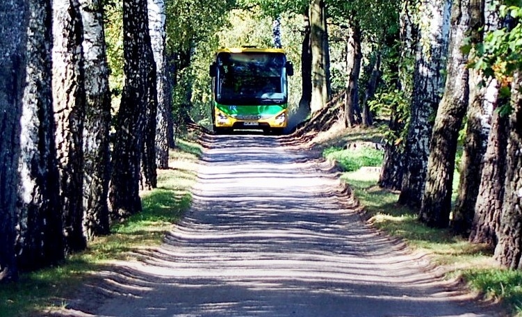 Infobus - ZKM Elbląg otworzył 8 ofert na 10-letnią komunikację autobusową. Dwie w budżecie
