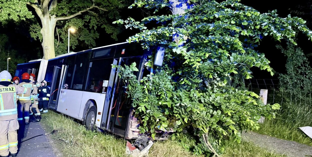 Infobus - Szczeciński autobus nocny uderzył w drzewo w Grzepnicy. Kierowca trafił do szpitala