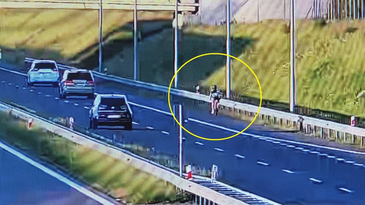 Infobike - Rowerzysta na drodze ekspresowej S19. Policja zakończyła przejazd mandatem