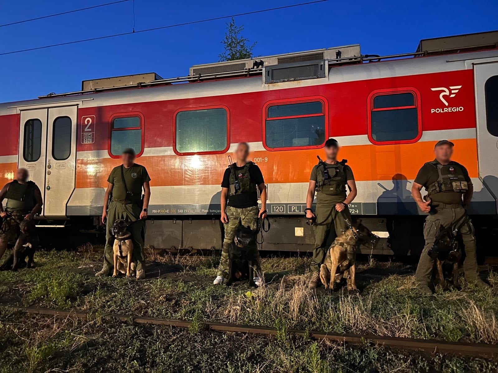 Inforail - POLREGIO wzmacnia ochronę taboru. Nocne ćwiczenia z termowizorami i psami służbowymi