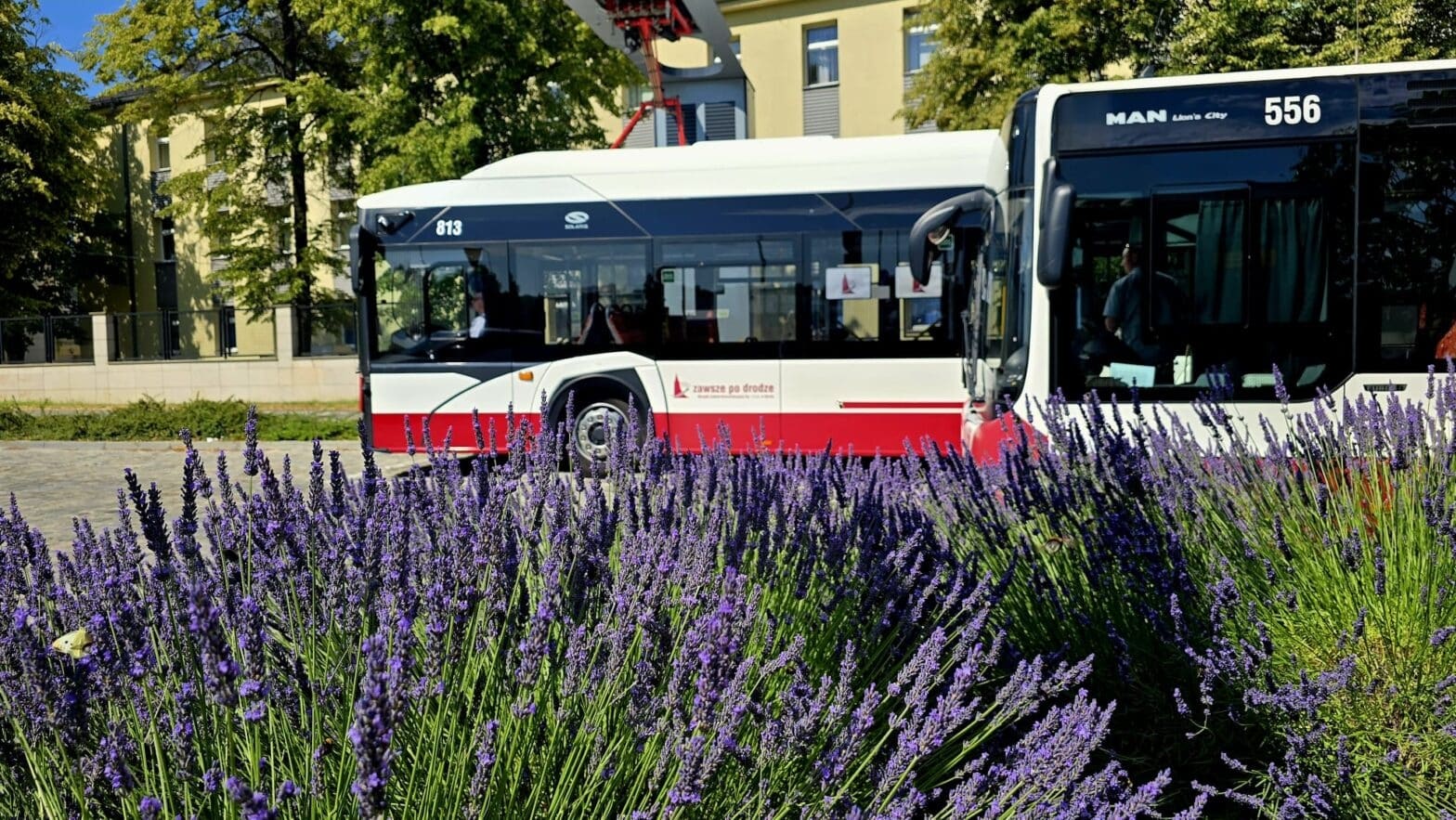 Infotrans - Od września MZK Opole wraca do szkolnego rozkładu. 1203 kursy dziennie na 27 liniach