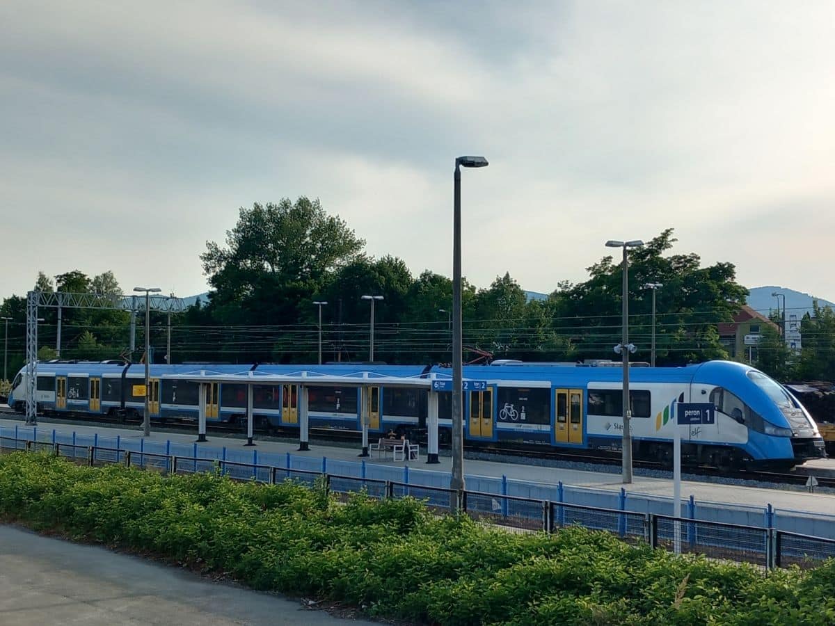 Inforail - Coraz więcej zwierząt w pociągach Kolei Śląskich. Ponad 19 tys. podróży w pół roku