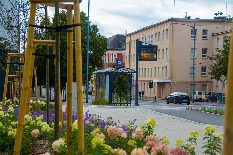 Infotrans - Do 16 nowych wiat przystankowych dla Olsztyna. Kto wygrał większą część przetargu?