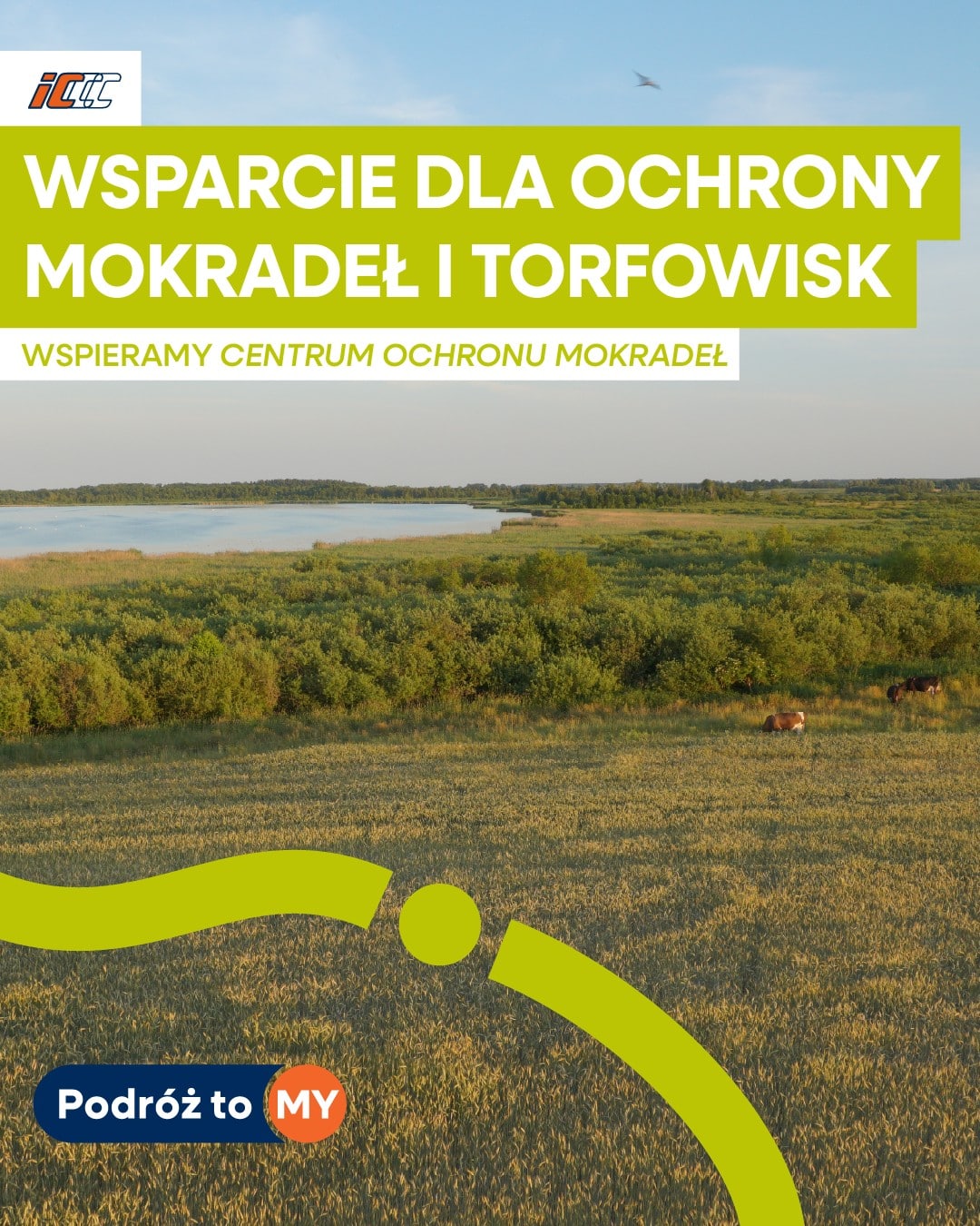 Inforail - PKP Intercity chce w 2028 roku korzystać wyłącznie z energii z OZE. Przewoźnik wspiera też ochronę bioróżnorodności
