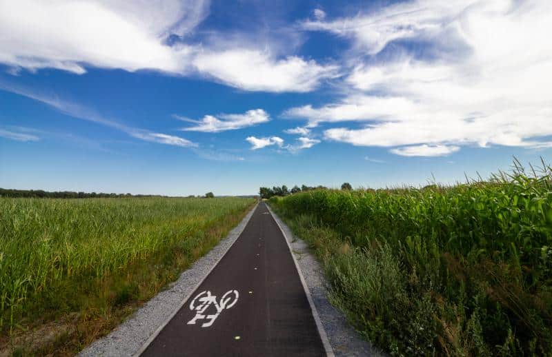 Infobike - Rowerowa “Złota Trasa” w gminie Międzybórz. Projekt za 490 tys. zł do grudnia