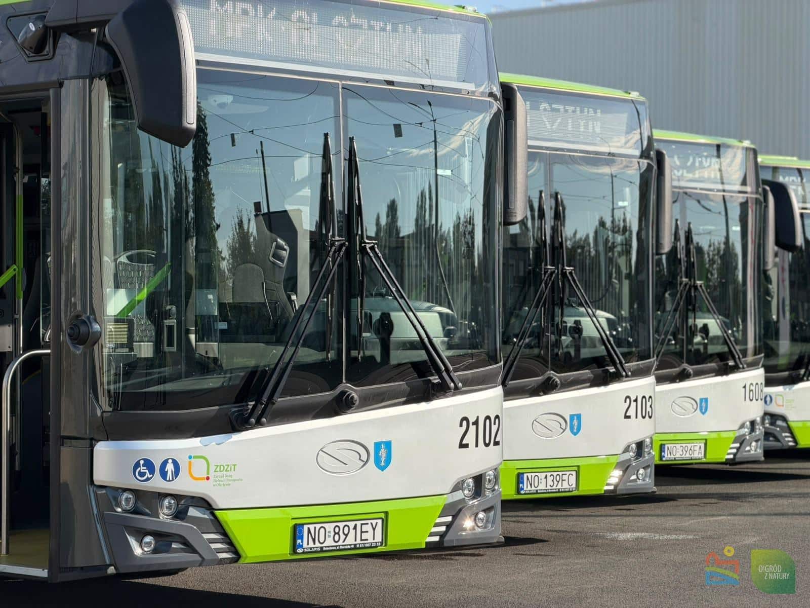 Infobus - Olsztyn z drugą dziesiątką hybryd. Teraz MPK czeka na pierwsze autobusy elektryczne