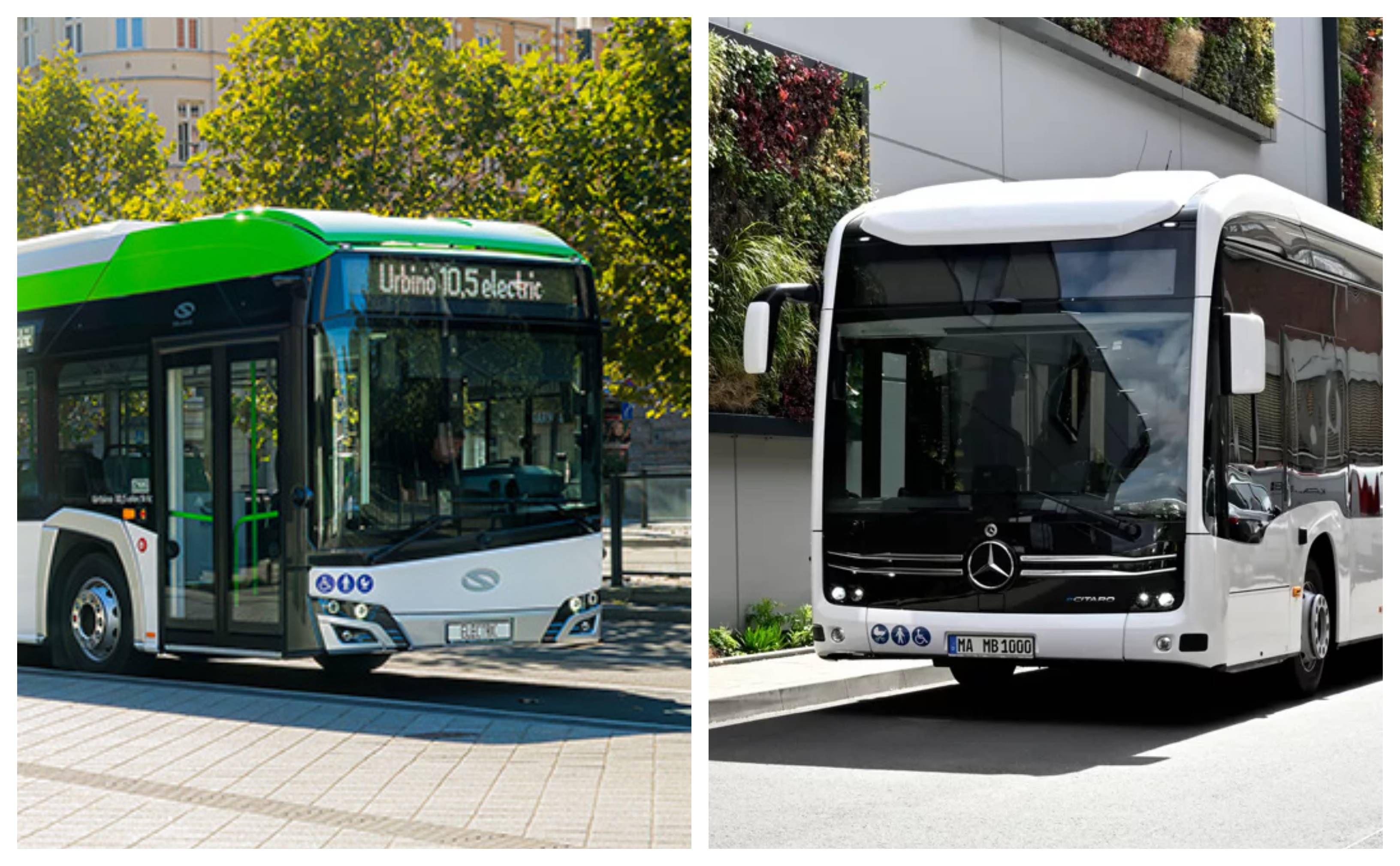 Infobus - Solaris wygrywa z Mercedesem na cztery elektrobusy dla MZK Malbork. Wiemy dlaczego