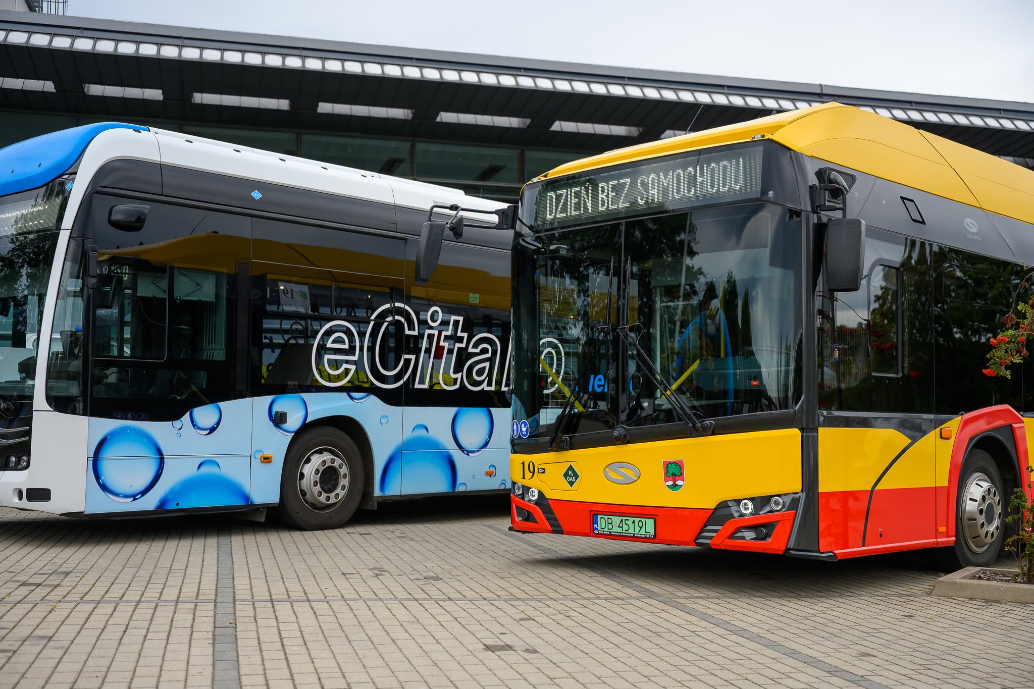 Infotrans - Wałbrzych chce wydzielić komunikację z MZUK. Nowy operator autobusowy to … MZK