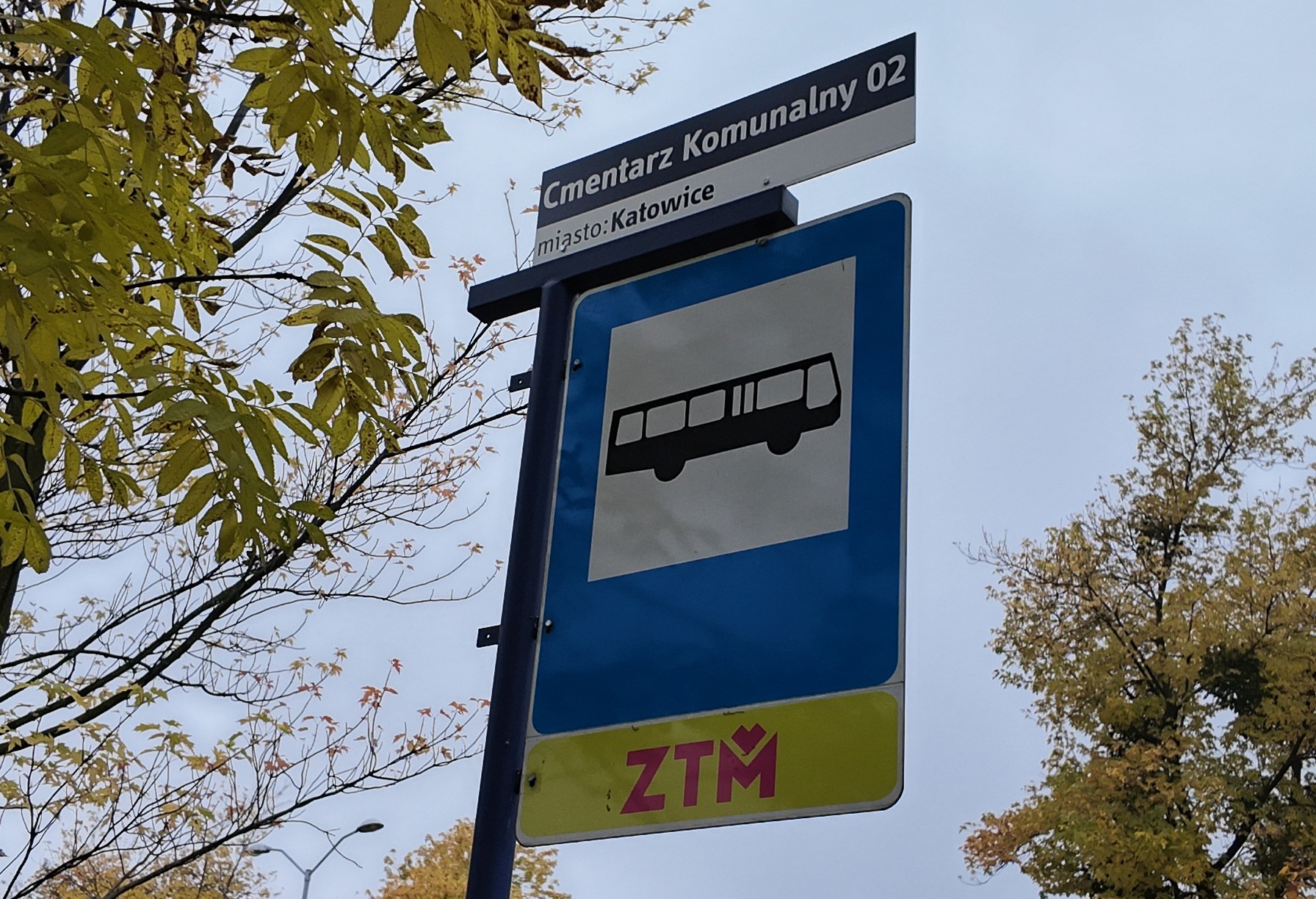Infotrans - Wszystkich Świętych 2026 w GZM. Linie C1–C20, większe autobusy i bezpłatne przejazdy