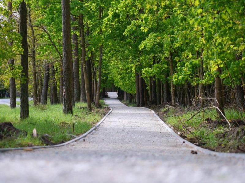 Infobike - Grudziądz–Dębieniec: przetarg na 6,57 km infrastruktury pieszo-rowerowej