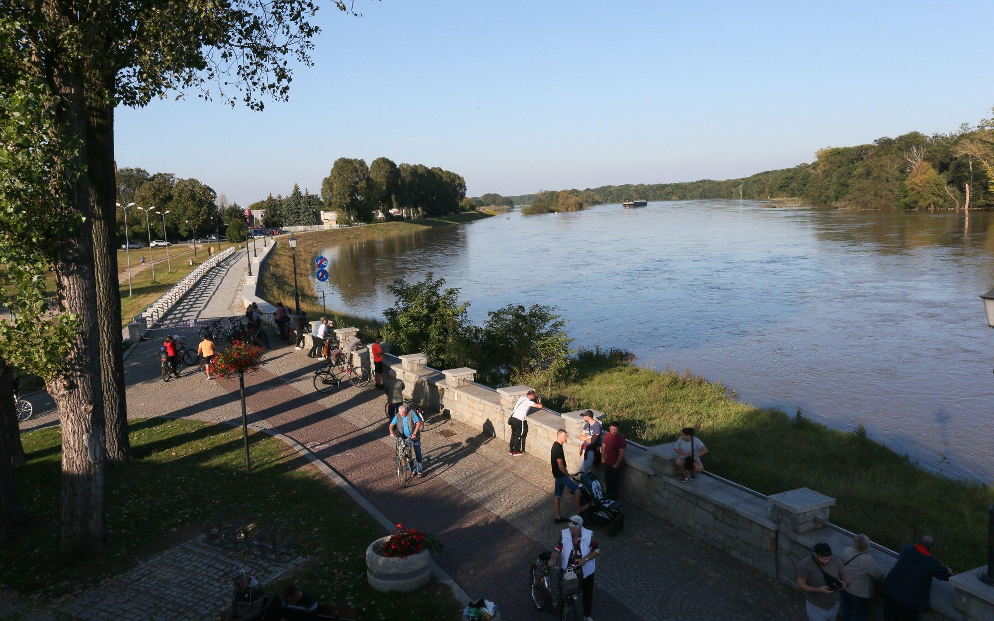 Infobike - Powiat nowosolski: 4,272 km trasy rowerowej po wale nad Odrą