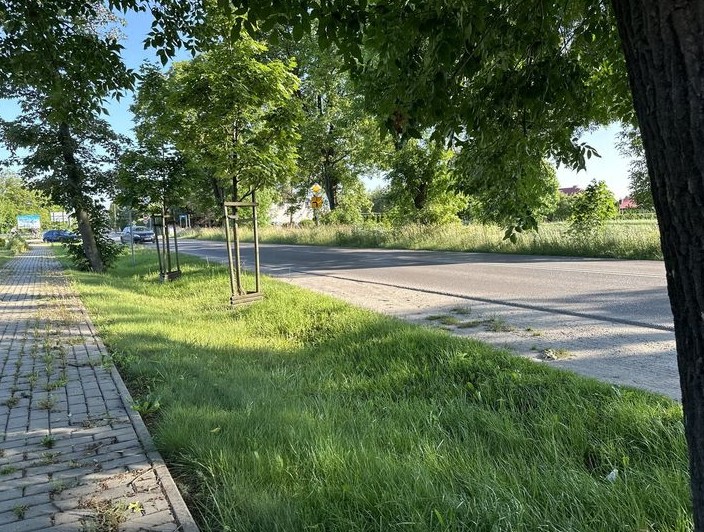 Infobike - Tarnów: 21 mln PLN na ponad 10 km tras rowerowych