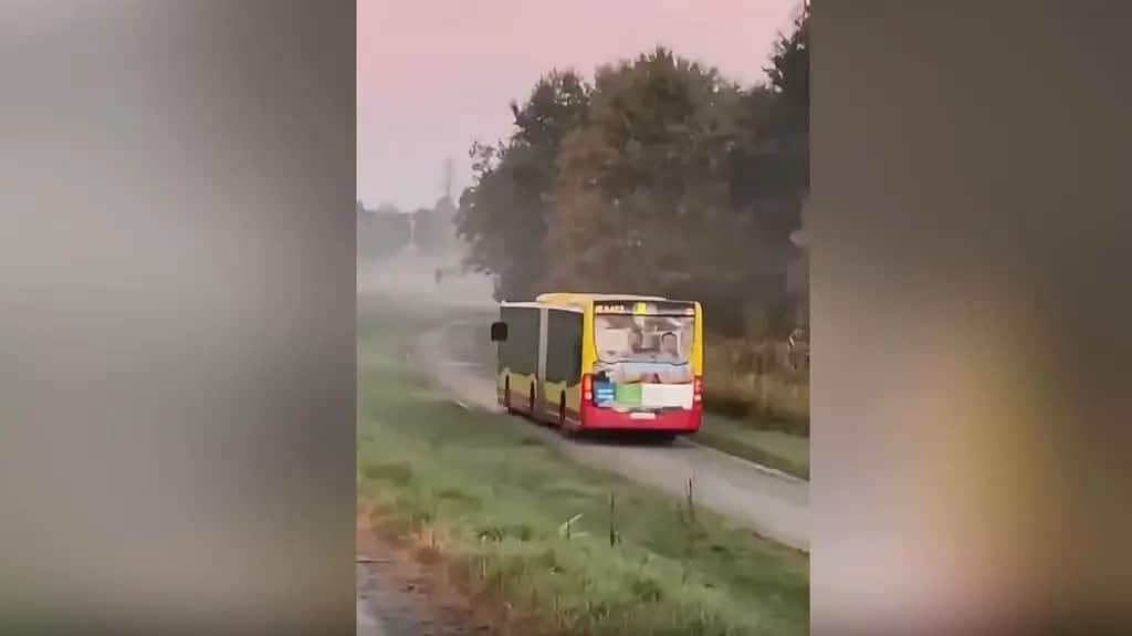 Infobus - „N” pojechało na wały zamiast na przystanek. MPK Wrocław wyjaśnia pomyłkę kierowcy