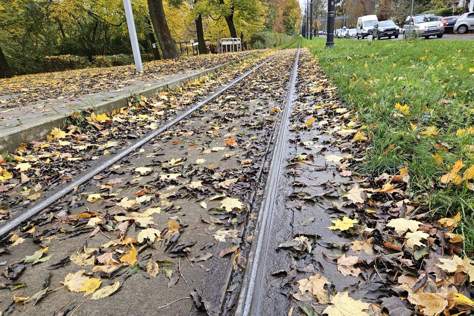 Infotram - Dlaczego jesienią tramwaje jeżdżą wolniej i się spóźniają? MZK Toruń wyjaśnia problem „czarnej szyny”